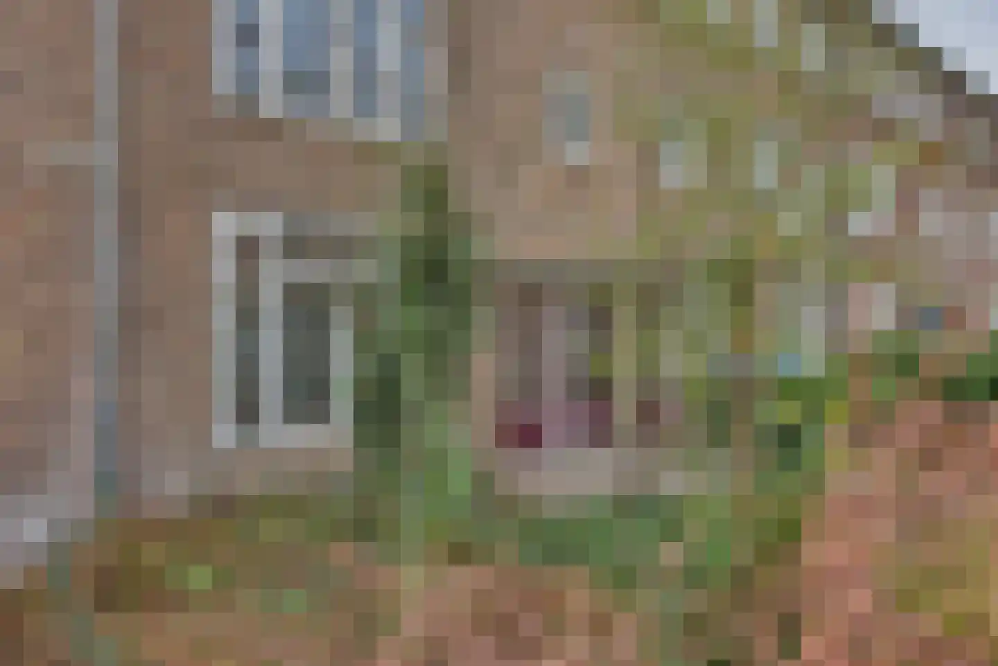 St Nicasiusstraat 38 Eindhoven thumbnail 12