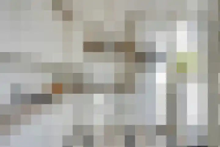 St Nicasiusstraat 7 Eindhoven thumbnail 18