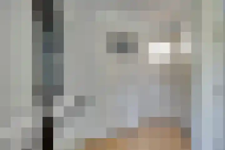 St Nicasiusstraat 7 Eindhoven thumbnail 20