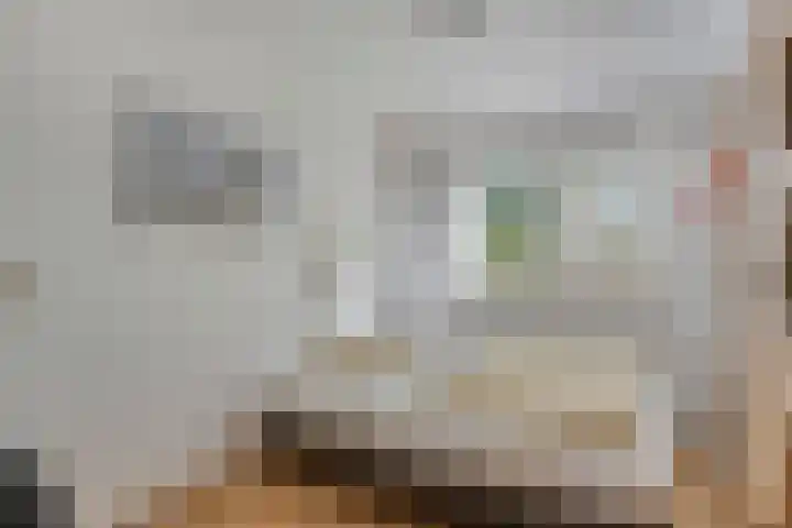 St Nicasiusstraat 7 Eindhoven thumbnail 6