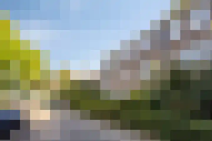 St Nicasiusstraat 7 Eindhoven thumbnail 9