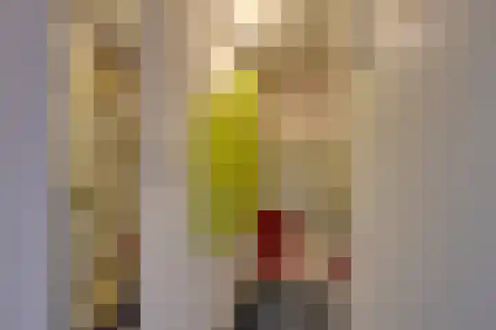 St. Nicolaassteeg 3 Purmerend thumbnail 22