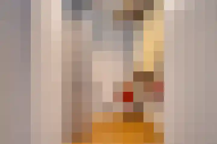 St. Nicolaassteeg 3 Purmerend thumbnail 23
