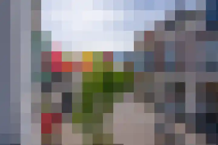 St. Nicolaassteeg 3 Purmerend thumbnail 8