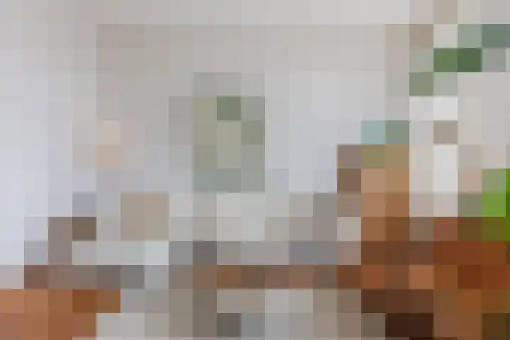 St. Nicolaïlaan 7 Arnhem thumbnail 6