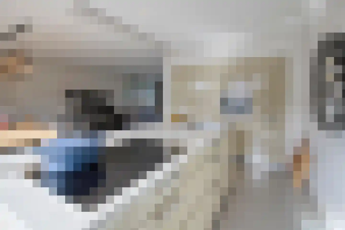 St Norbertuslaan 17 Eindhoven thumbnail 18