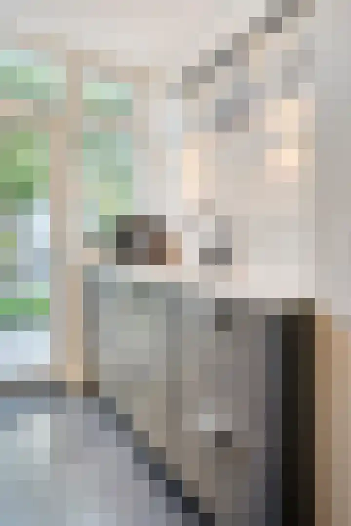 St Norbertuslaan 32 Eindhoven thumbnail 16