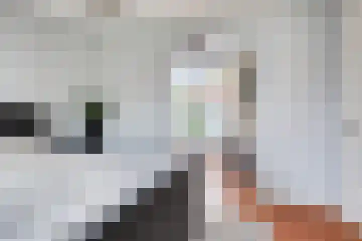 St Norbertuslaan 32 Eindhoven thumbnail 21