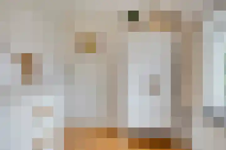 St Norbertuslaan 32 Eindhoven thumbnail 32