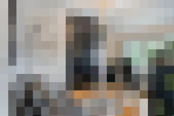 St Norbertuslaan 32 Eindhoven thumbnail 33
