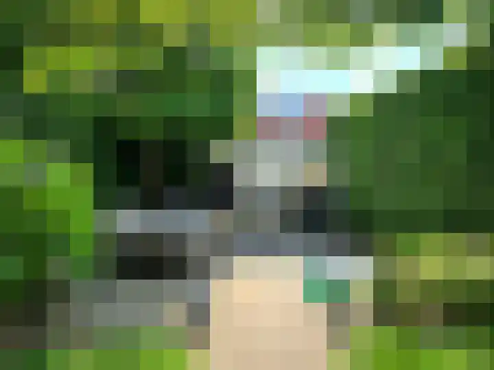 St Norbertuslaan 32 Eindhoven thumbnail 37