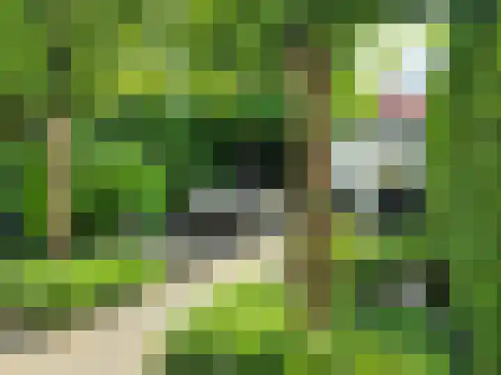 St Norbertuslaan 32 Eindhoven thumbnail 38