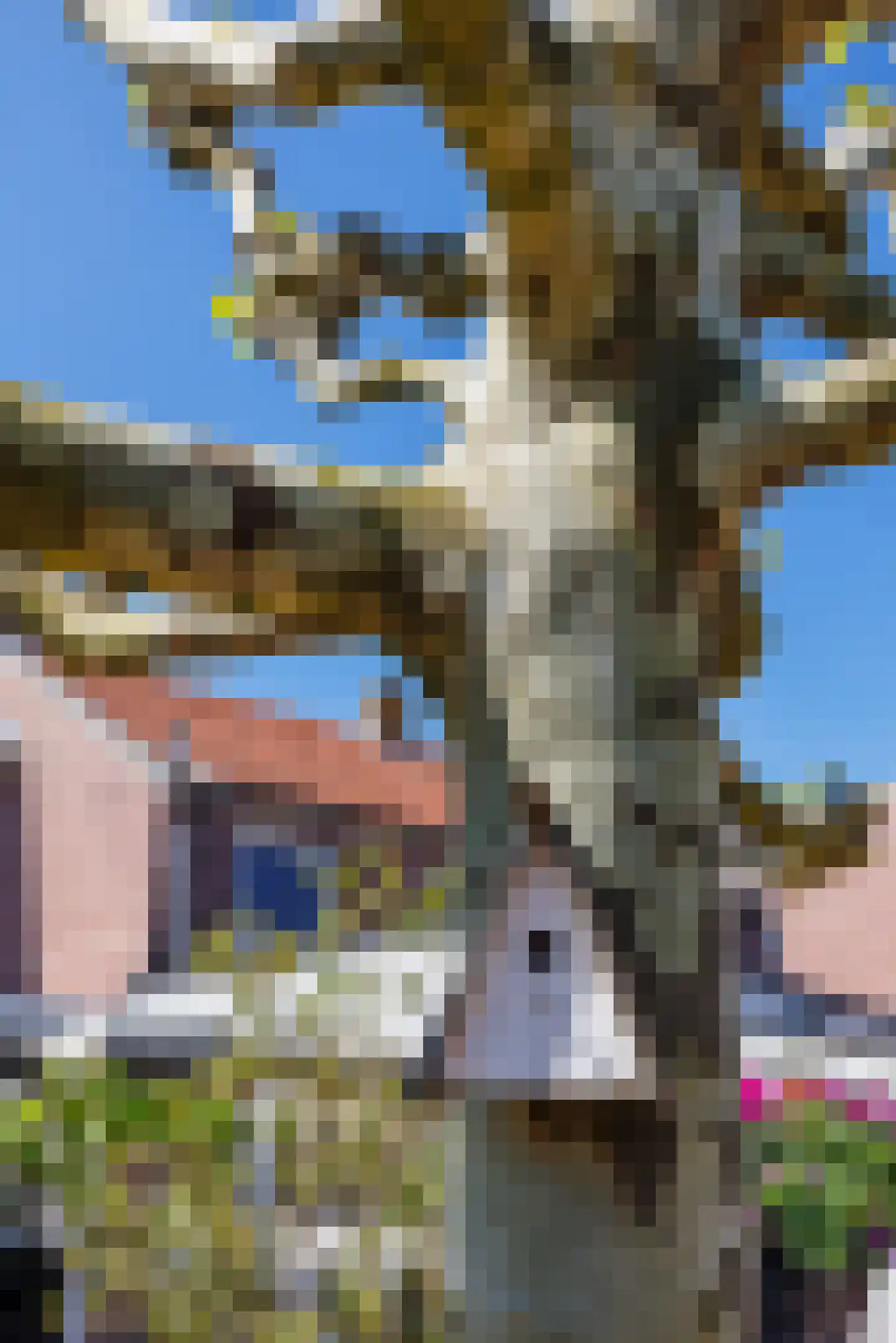St.Norbertusstraat 5 Gennep thumbnail 50