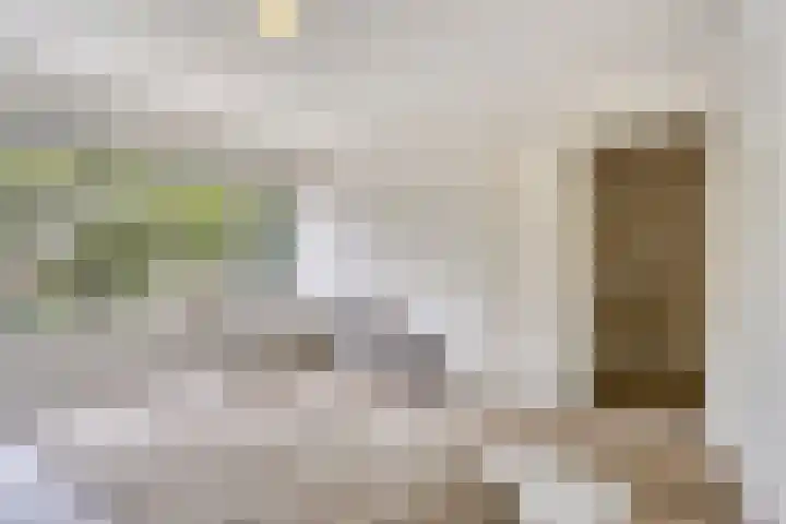 St Odastraat 10 Eindhoven thumbnail 20