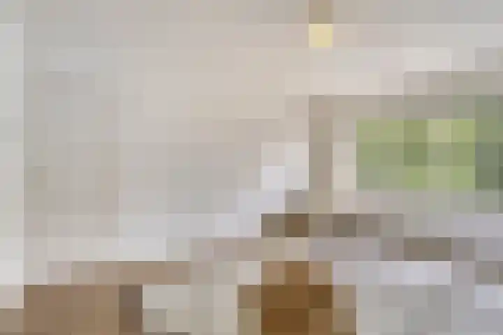 St Odastraat 10 Eindhoven thumbnail 22