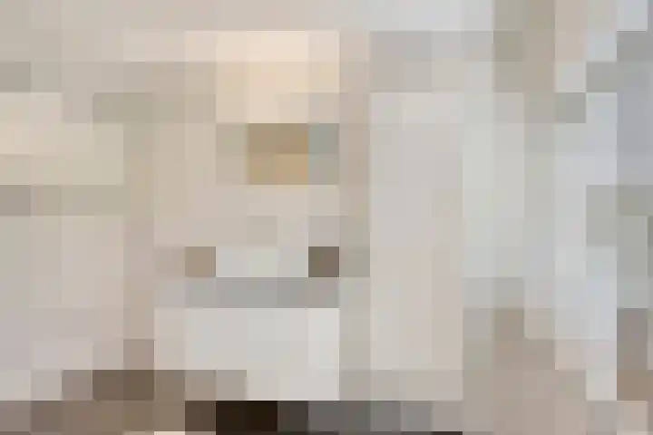 St Odastraat 10 Eindhoven thumbnail 29