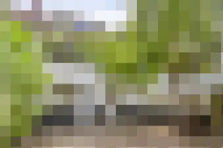 St Odastraat 10 Eindhoven thumbnail 33