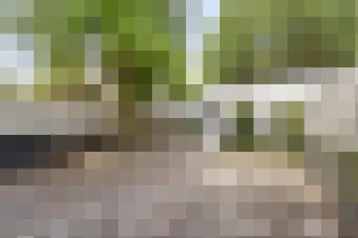 St Odastraat 10 Eindhoven thumbnail 35