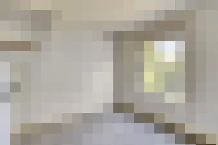 St. Odastraat 54 Melderslo thumbnail 22