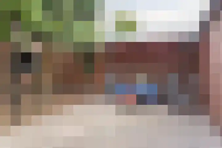 St. Odastraat 54 Melderslo thumbnail 33