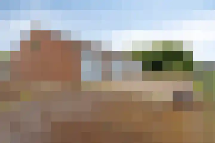 St. Odastraat 54 Melderslo thumbnail 47