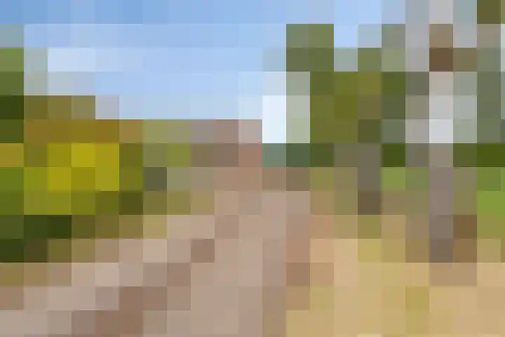 St. Odastraat 54 Melderslo thumbnail 51