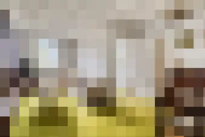 St. Odastraat 54 Melderslo thumbnail 6
