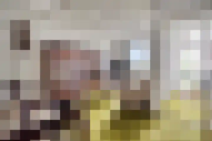 St. Odastraat 54 Melderslo thumbnail 9
