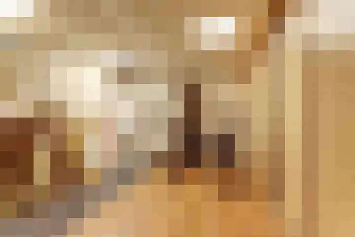 St. Odolphisteeg 6 Harlingen thumbnail 6