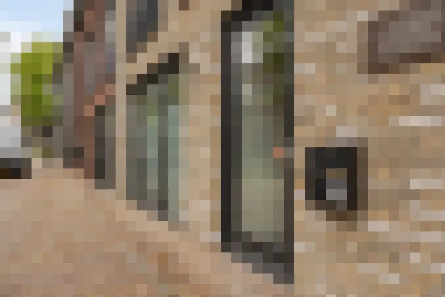 St Odulphusstraat 1 B Best thumbnail 33