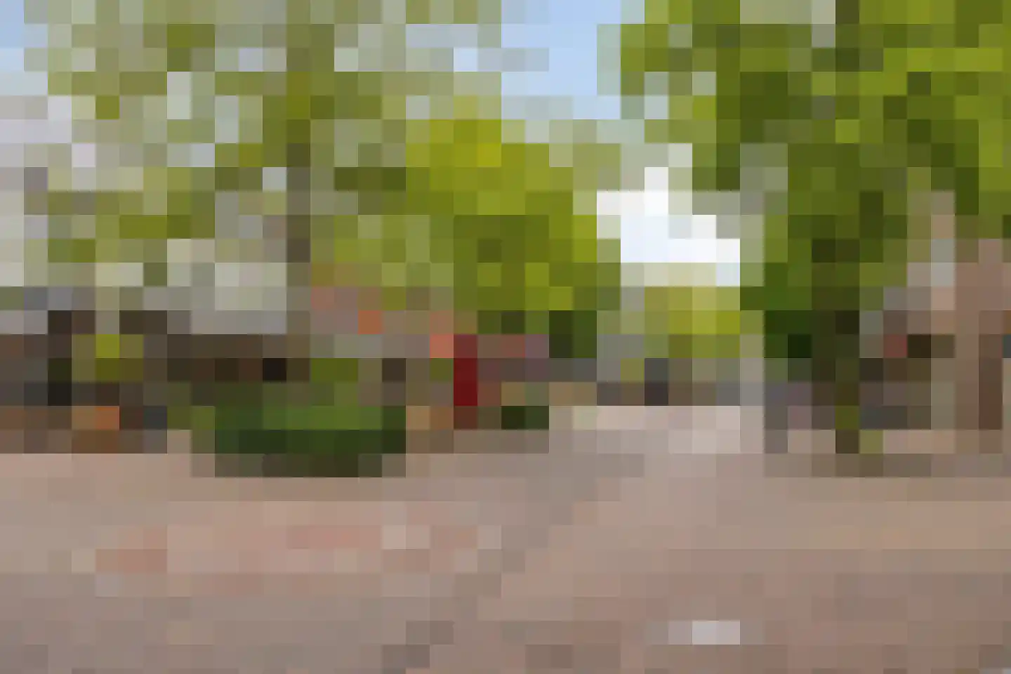 St Odulphusstraat 1 B Best thumbnail 37