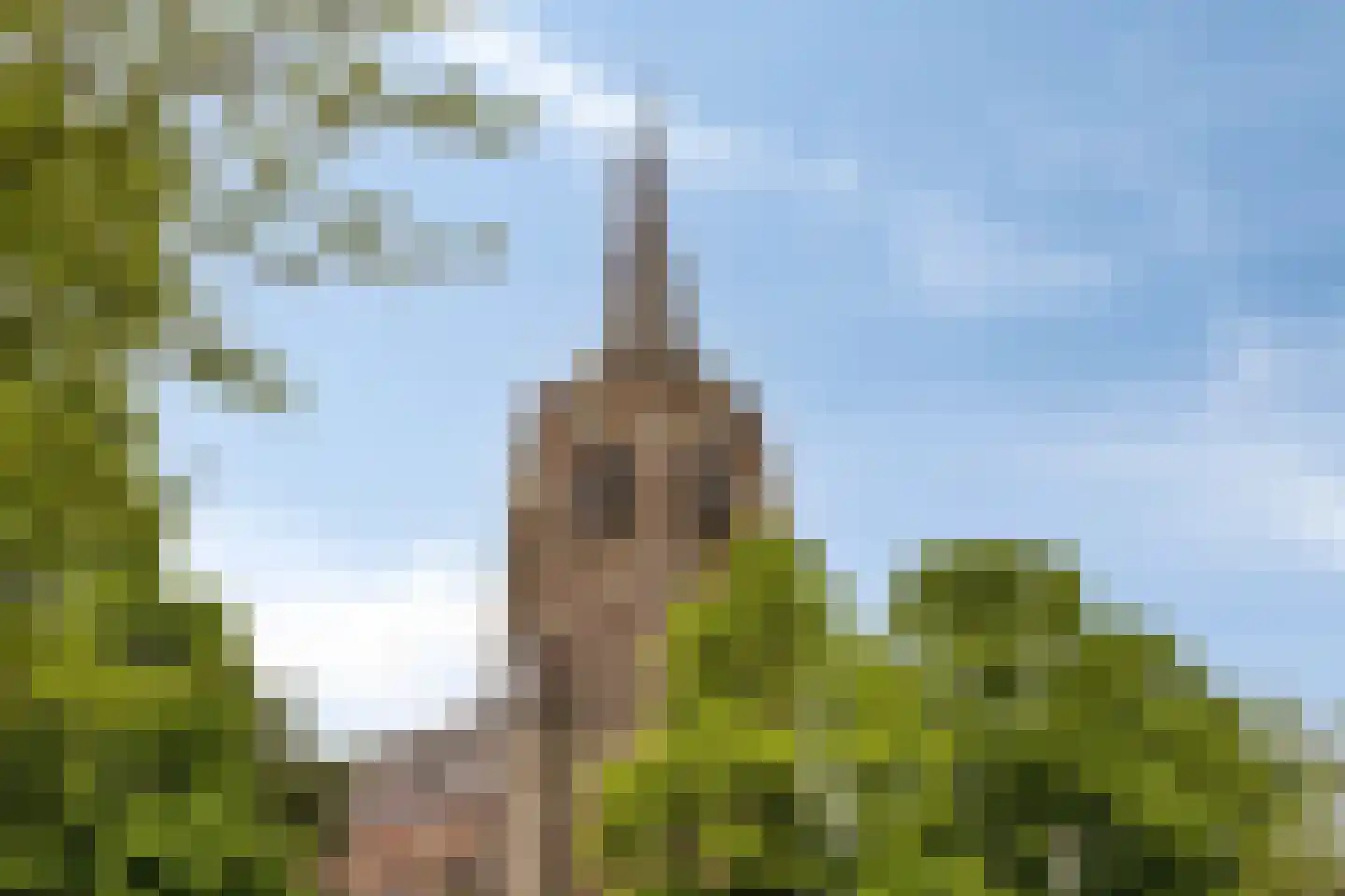 St Odulphusstraat 1 B Best thumbnail 38