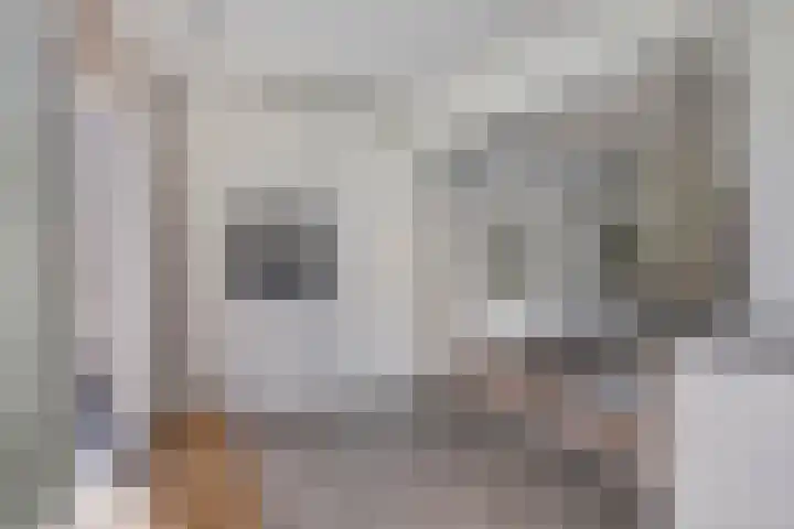 St Odulphusstraat 17 Eindhoven thumbnail 13