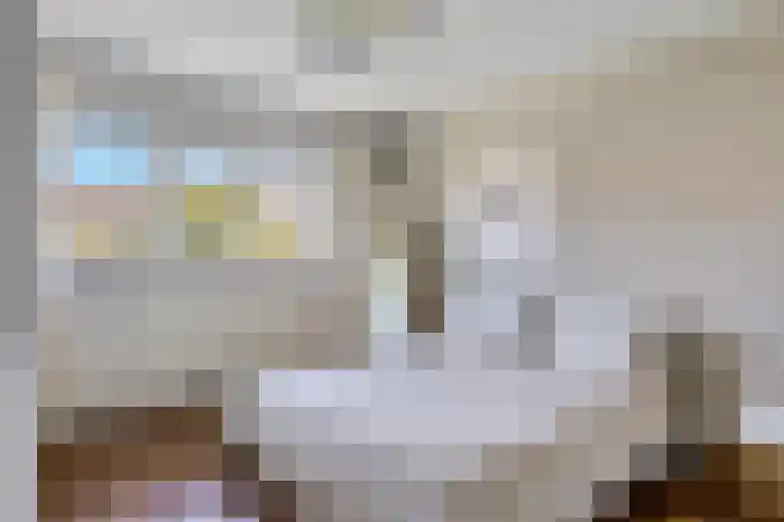 St Odulphusstraat 17 Eindhoven thumbnail 17