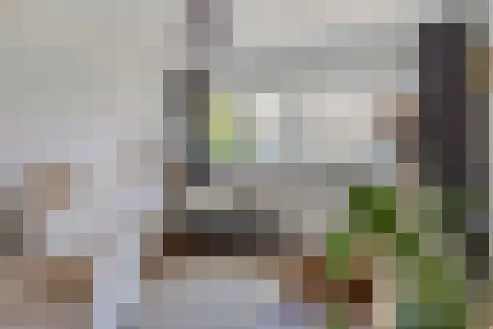 St Odulphusstraat 17 Eindhoven thumbnail 21
