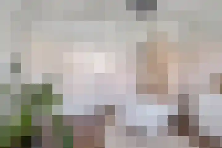 St Odulphusstraat 17 Eindhoven thumbnail 22
