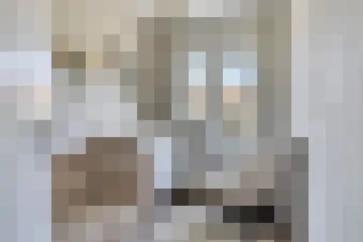 St Odulphusstraat 17 Eindhoven thumbnail 24