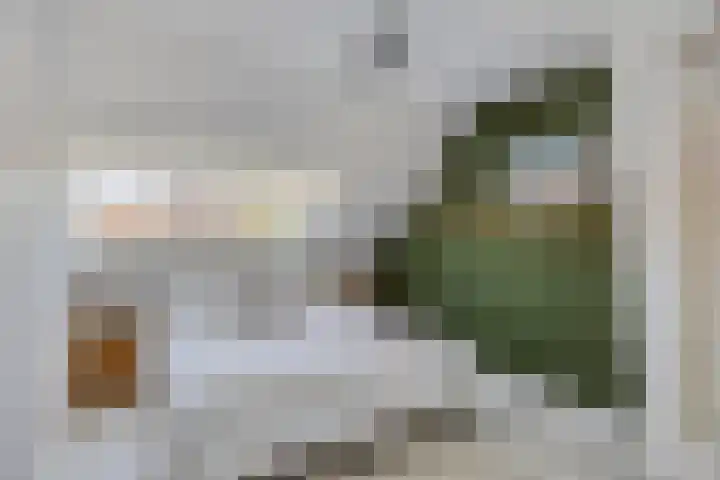 St Odulphusstraat 17 Eindhoven thumbnail 27