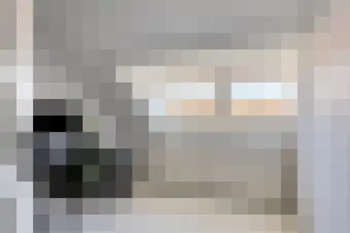 St Odulphusstraat 17 Eindhoven thumbnail 28