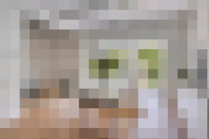 St Odulphusstraat 17 Eindhoven thumbnail 7