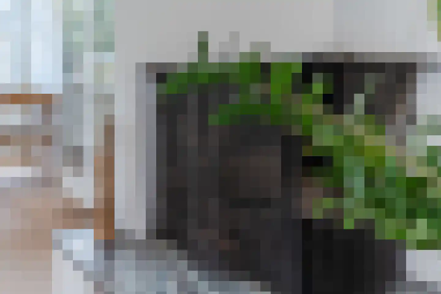 St Odulphusstraat 21 Eindhoven thumbnail 12