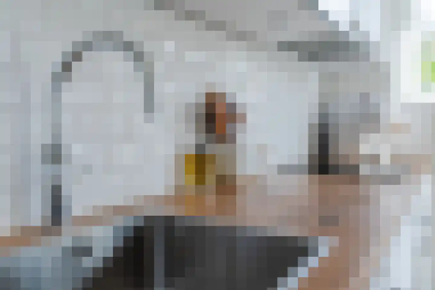 St Odulphusstraat 21 Eindhoven thumbnail 23