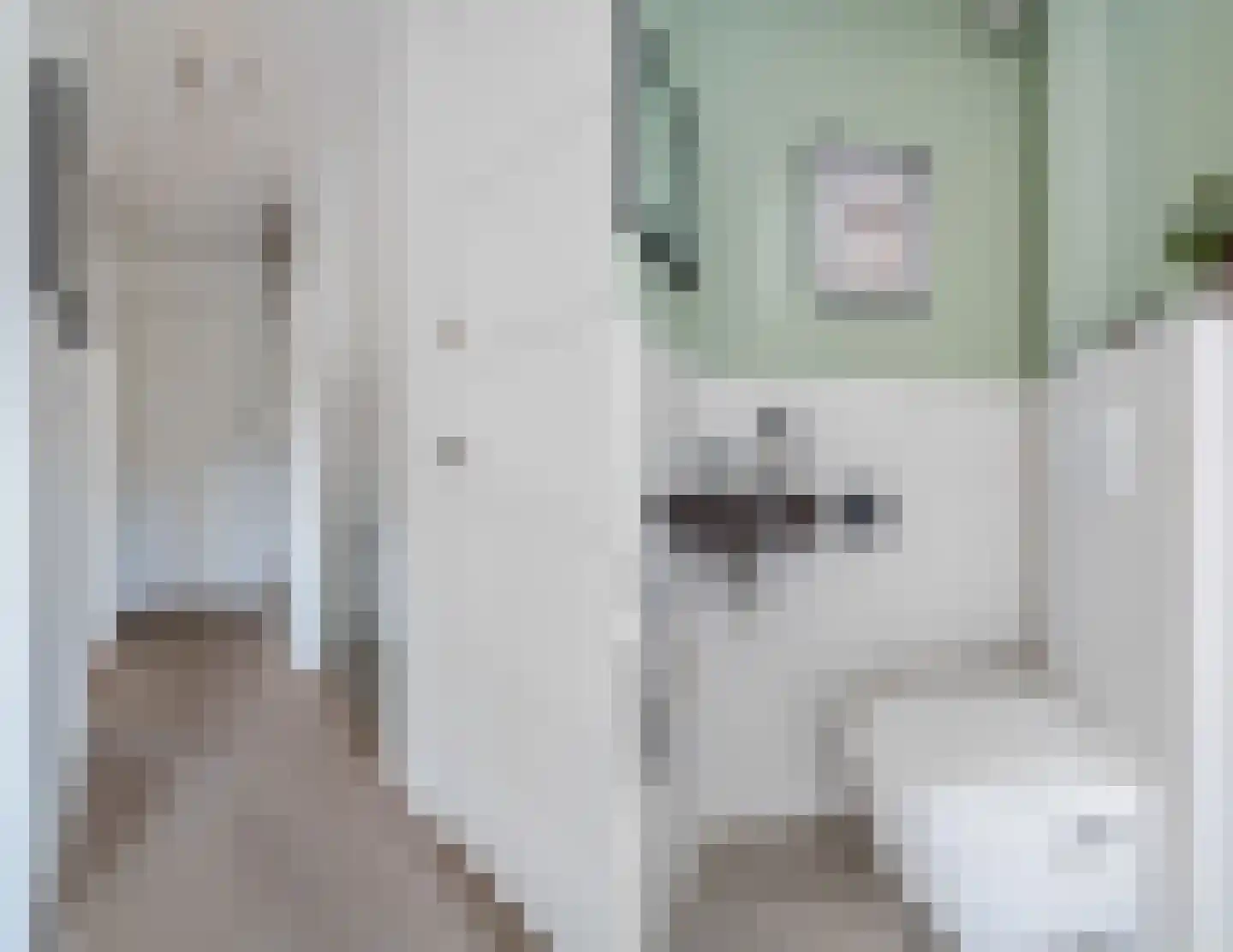 St Odulphusstraat 21 Eindhoven thumbnail 25