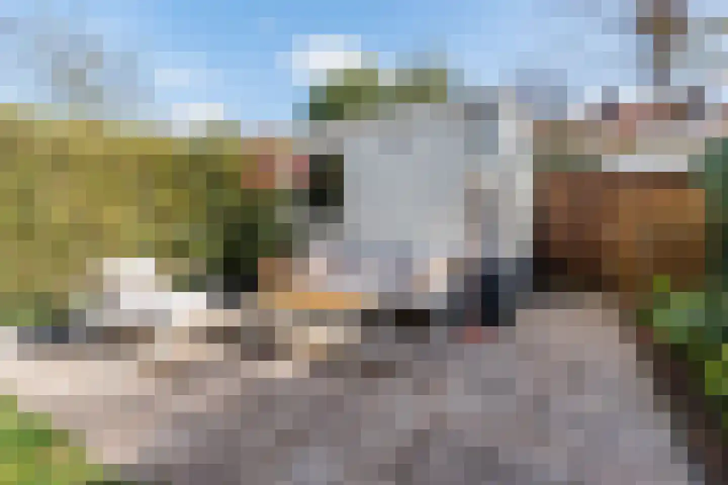 St Odulphusstraat 21 Eindhoven thumbnail 44