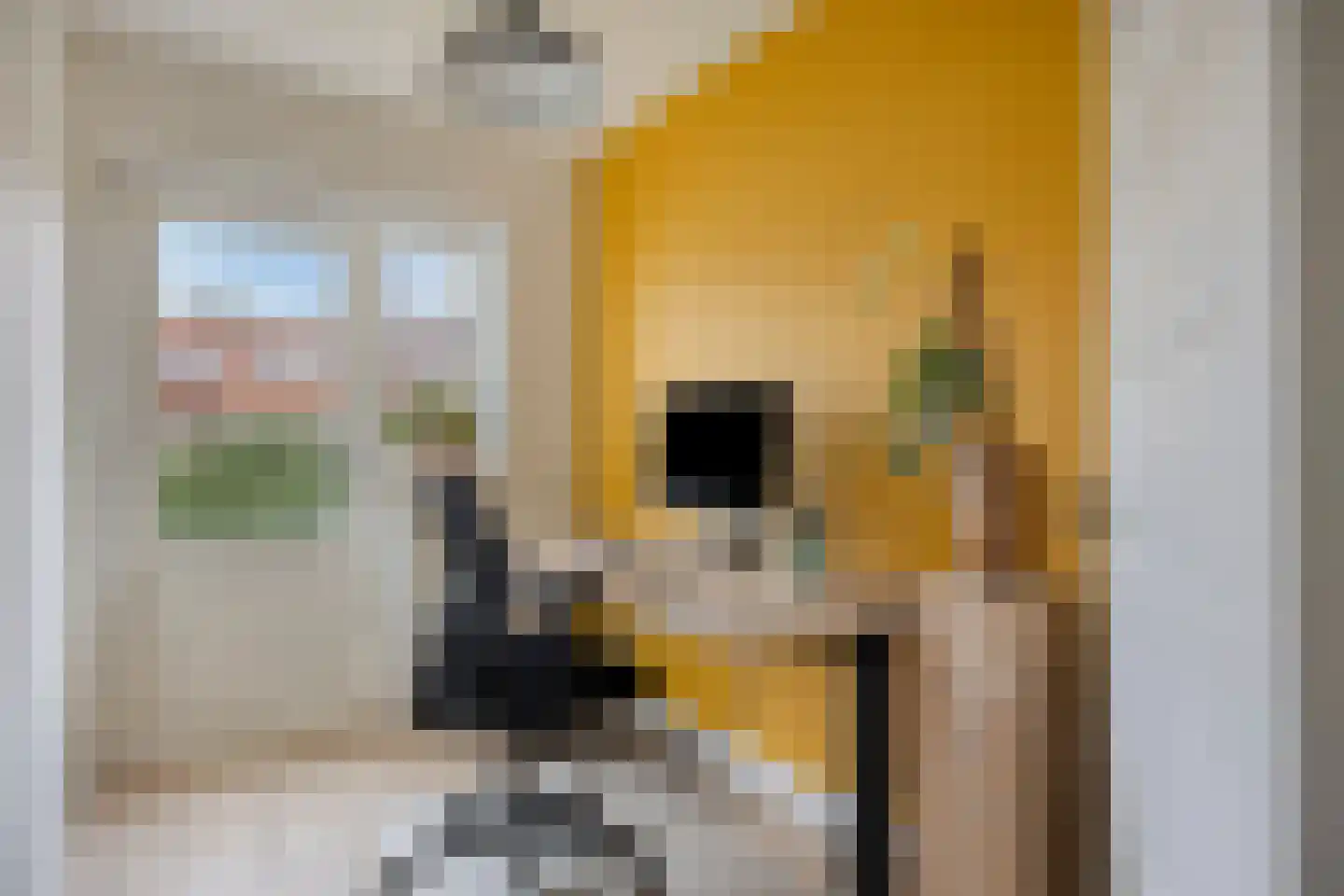 St Odulphusstraat 9 Eindhoven thumbnail 20