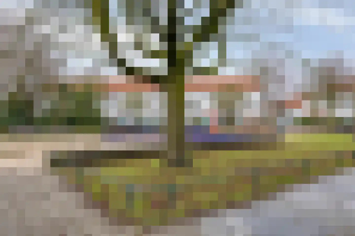 St Odulphusstraat 9 Eindhoven thumbnail 27