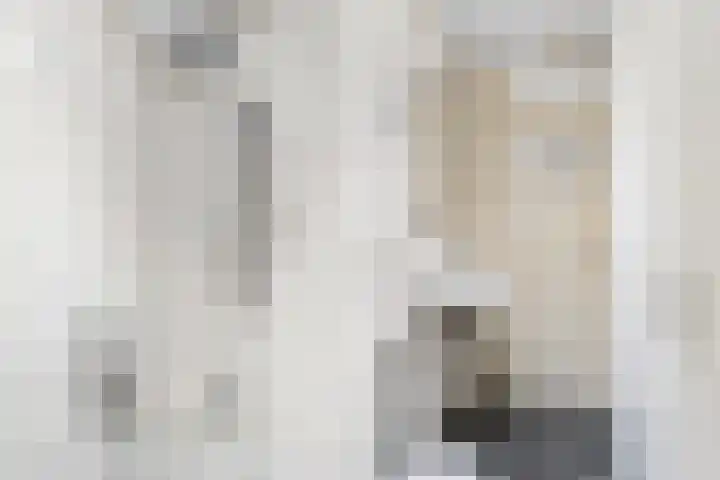 St. Peterlaan 103 2 Arnhem thumbnail 20