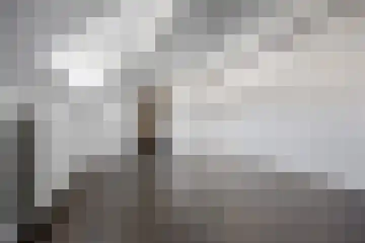 St. Peterlaan 12 Arnhem thumbnail 32