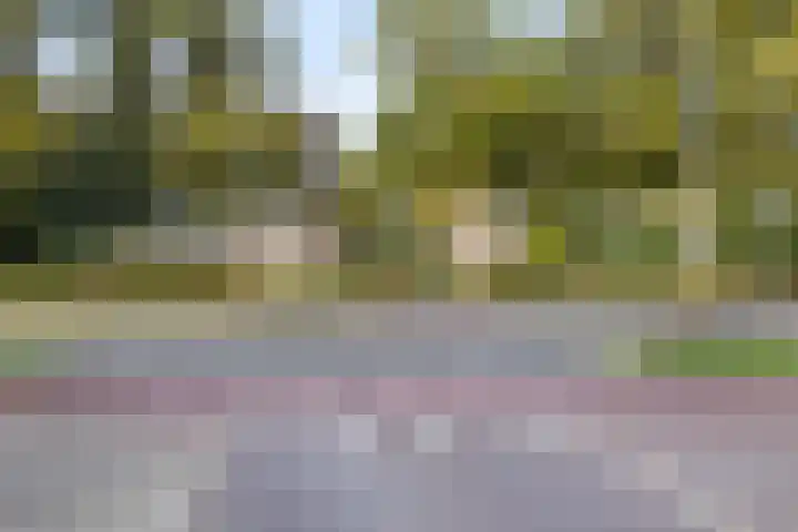 St. Peterlaan 12 Arnhem thumbnail 34