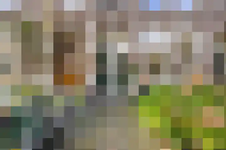 St. Peterlaan 12 Arnhem thumbnail 6
